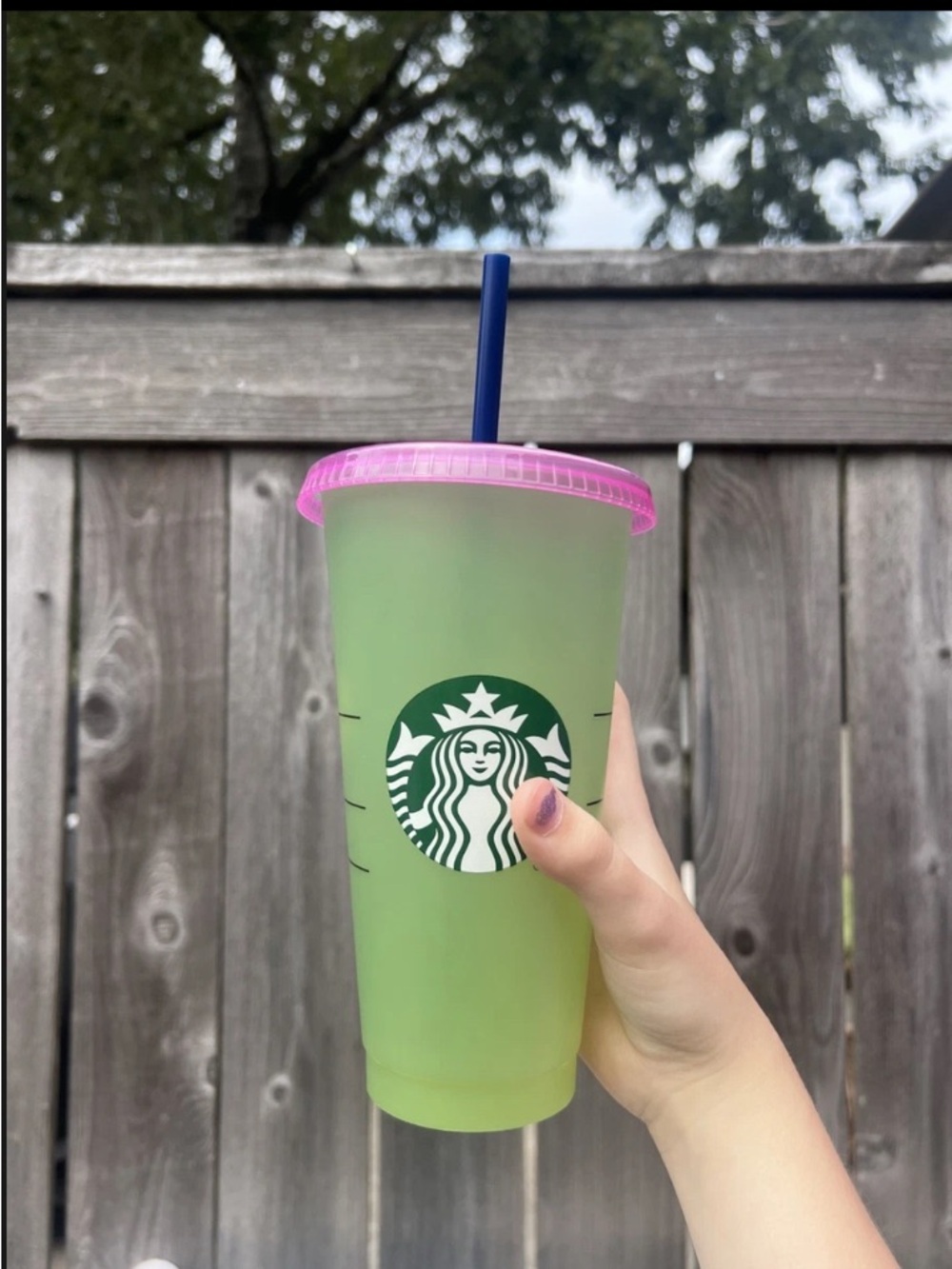 Starbucks Green Cup with Pink Lid and Blue Straw